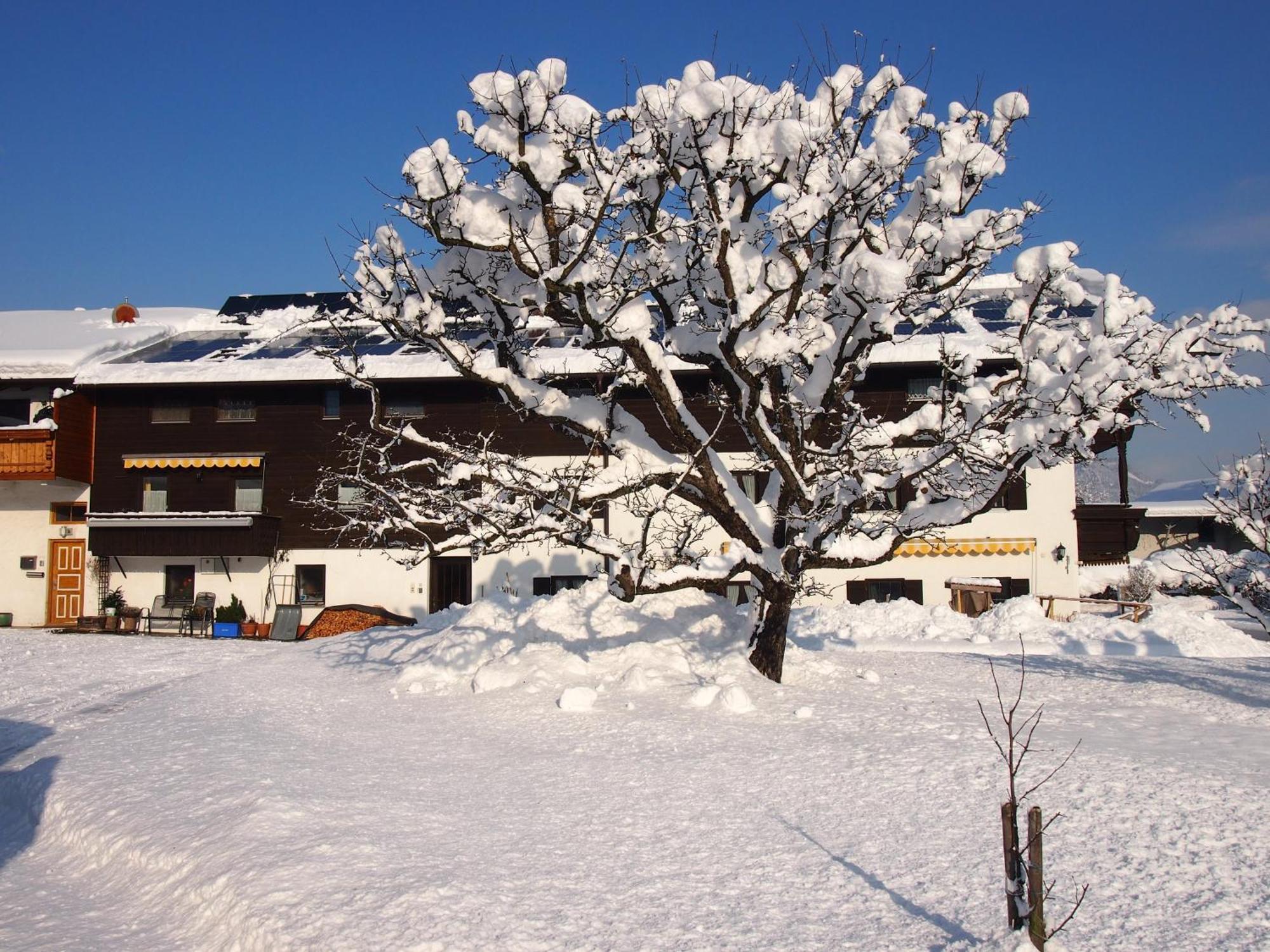 Hotel Garni Wagnerhof Oberaudorf Buitenkant foto
