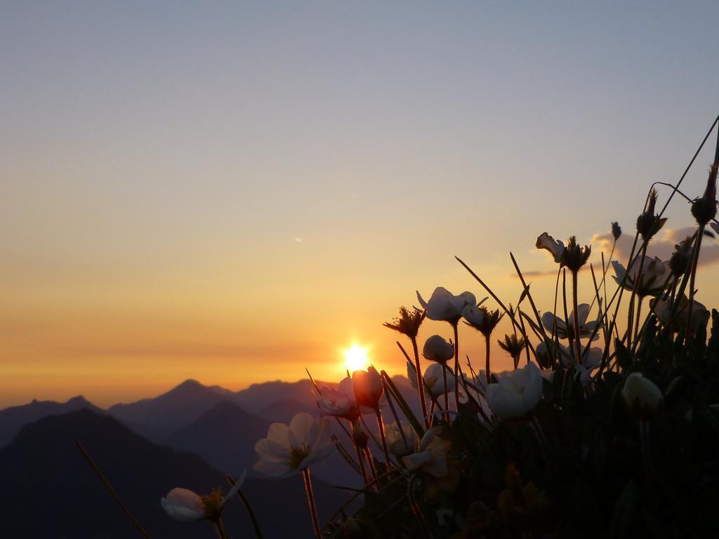 Hotel Garni Wagnerhof Oberaudorf Buitenkant foto